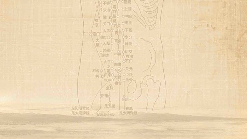 车载电动按摩枕：材质选择，健康与舒适的秘密**