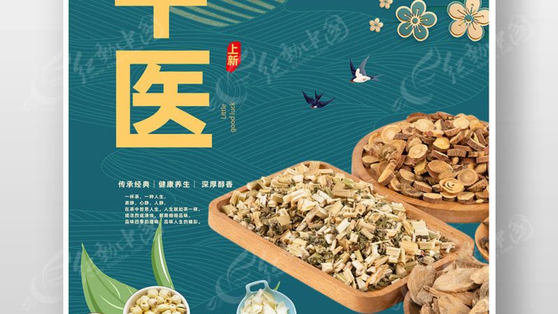 颈椎病：中医理疗与康复理疗方法解析
